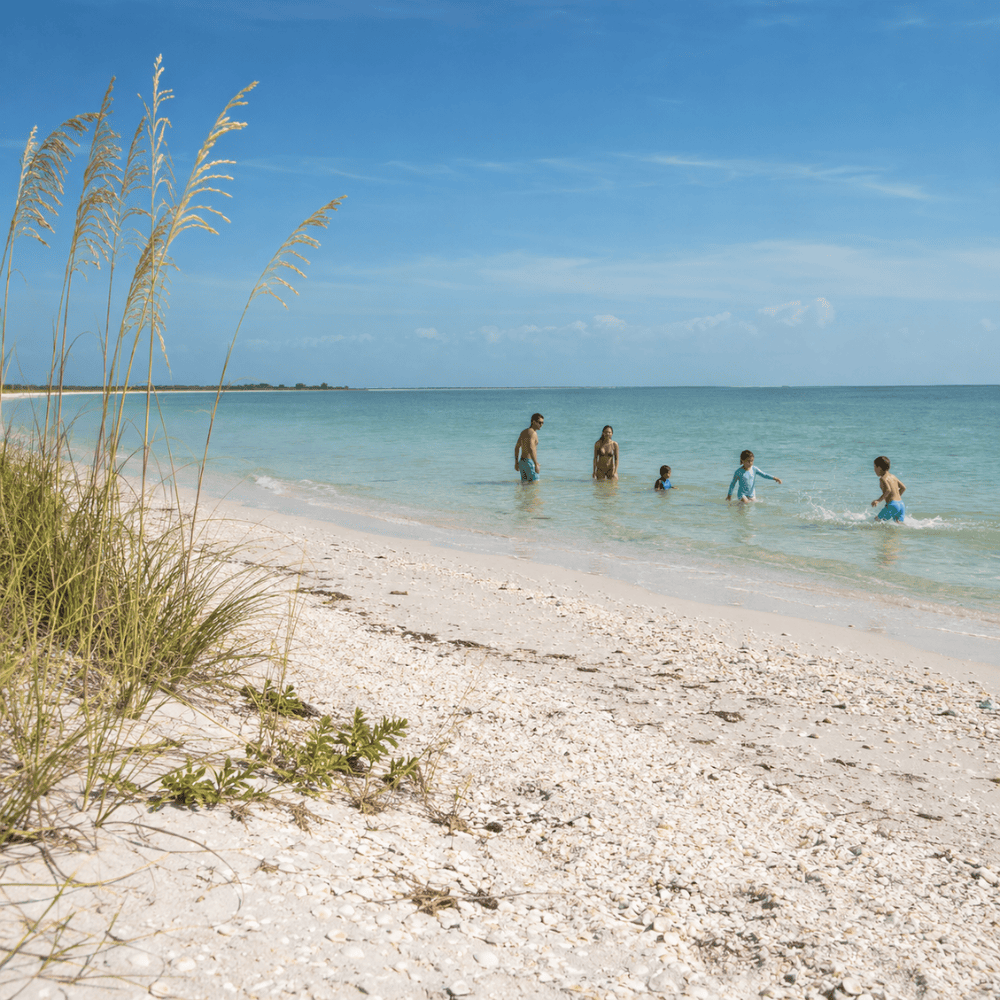 beach family